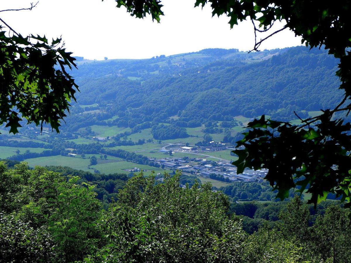 Hostellerie Saint Clement Vic-sur-Cere Luaran gambar